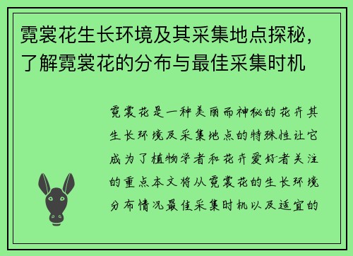 霓裳花生长环境及其采集地点探秘，了解霓裳花的分布与最佳采集时机